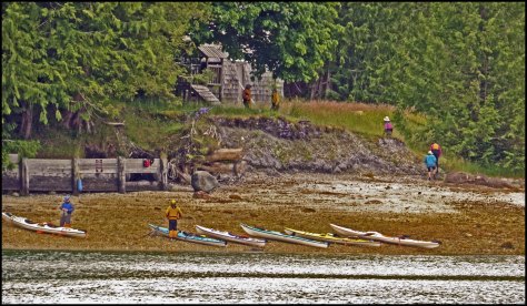 NanaimoProtectionIsland2018-IMG_8981_edited-1