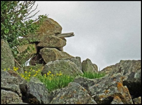 BookertotemMay2018-IMG_0609_edited-1