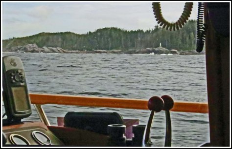 CapeCautionMay2018-IMG_0627_edited-1