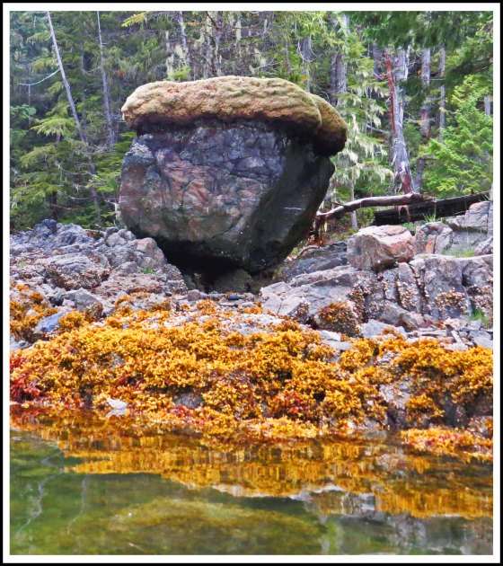 CodvilleRockJun2017IMG_2479_edited-1