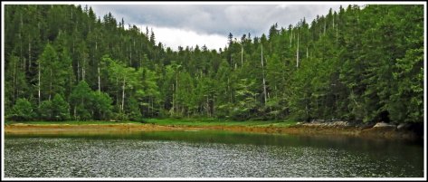 CodvilleSceneryJun2018-IMG_2245_edited-1