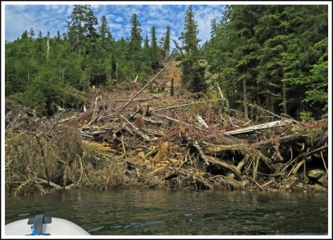 Emily LakeLandslideJun2018-IMG_3381_edited-1