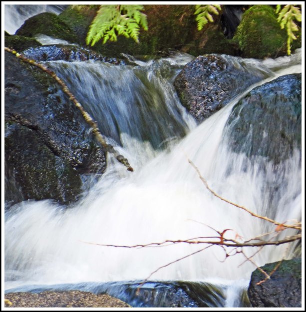 FishEggWaterfallMay2018-IMG_1174_edited-1