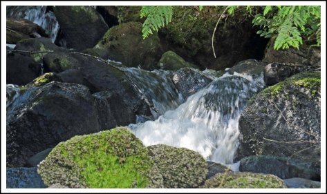 FishEggWaterfallMay2018-IMG_1193_edited-1