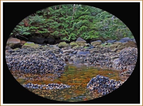 FlyBasinCreekMay2018-6