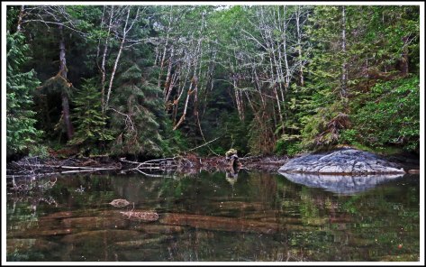 FlyBasinScenesMay2018-IMG_0715_edited-1