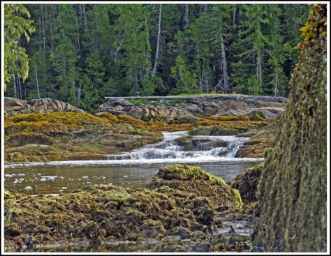 GreenIslandCreekMay2018-IMG_1298_edited-1