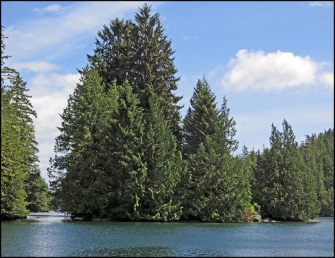 GreenIslandTreesMay2018-IMG_1337_edited-1