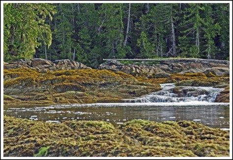 GreenIslslandCreekMay2018-IMG_1292_edited-1