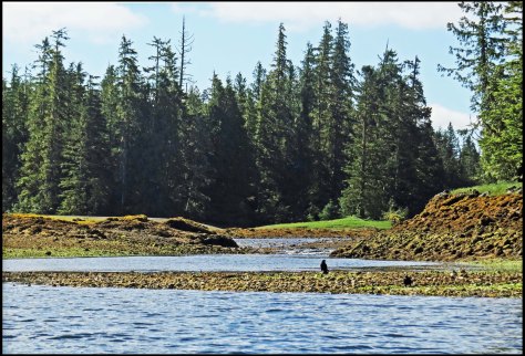 KakushdishCreekJun2018-IMG_2838_edited-1