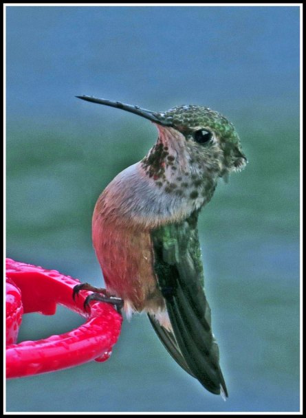 KisameetHummerJun2018-IMG_1847_edited-1