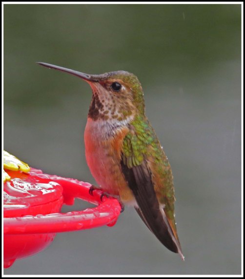 KisameetHummerJun2018-IMG_1944_edited-1