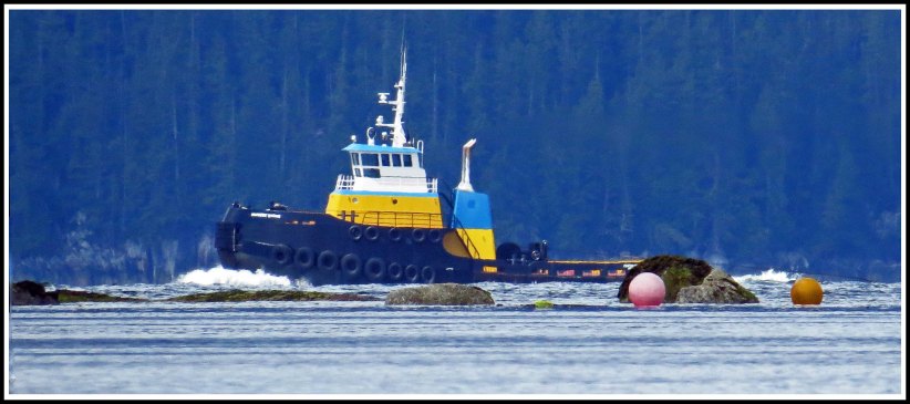 KwakumeTugJun2018-IMG_1391_edited-1