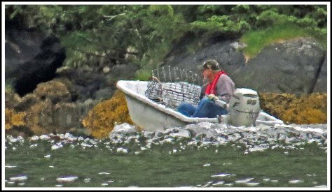 NashAlCrabbingJun2018-IMG_3888_edited-1