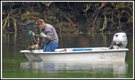 OceanFallsAlCrabbingJun2018-IMG_2627_edited-2