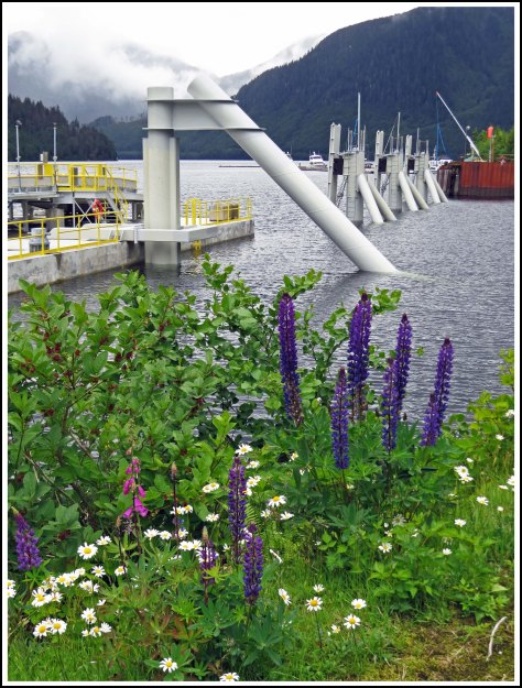 OceanFallsFerry Dock-IMG_2815_edited-1