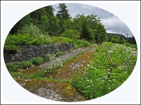 OceanFallsRoadJun2018-3