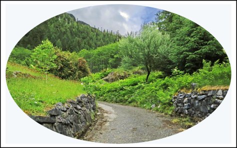 OceanFallsRoadJun2018-4