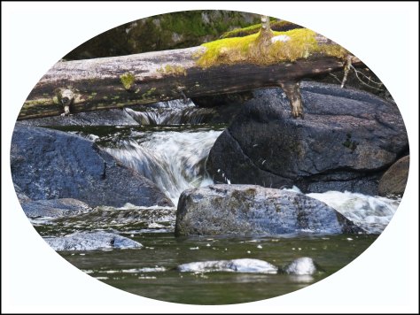 TroupCreekJun2018-3-1