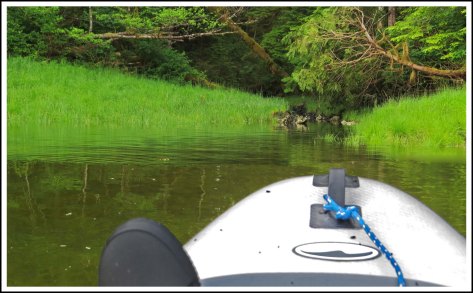 TroupCreekJun2018-IMG_3063_edited-1