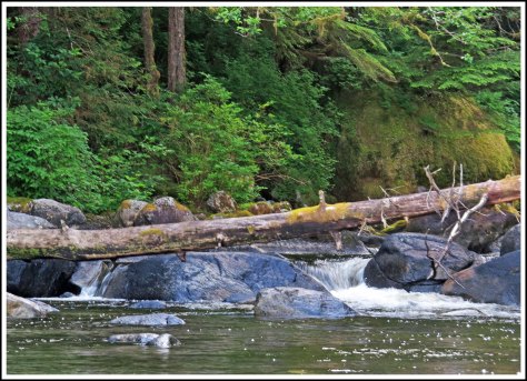 TroupCreekJun2018-IMG_3072_edited-1