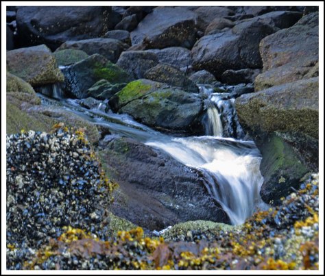 TroupWaterfallJun2018-IMG_3004_edited-1