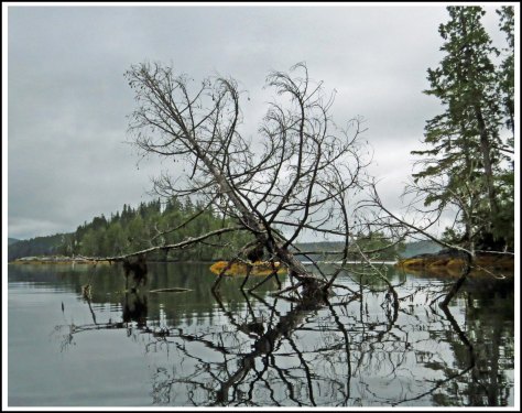 BigFryPanSceneryAug2018-IMG_3724 (1)_edited-1