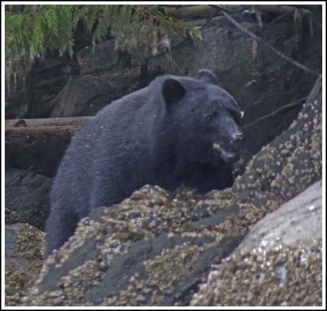 BookerBearSept2018-IMG_3985 (1)_edited-1