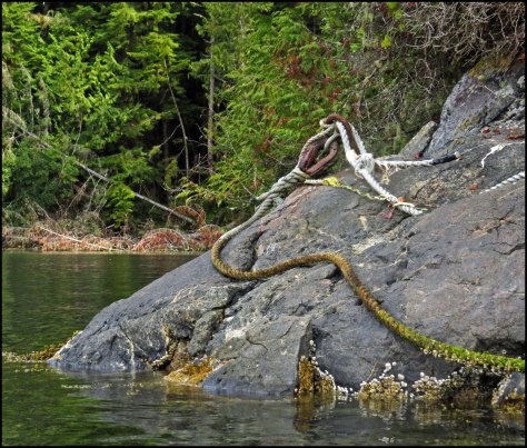 BootlegEyeboltSept2018-IMG_4592_edited-1