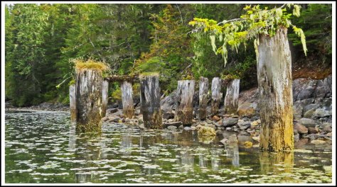 BootlegPilingsSept2018-IMG_4568_edited-1