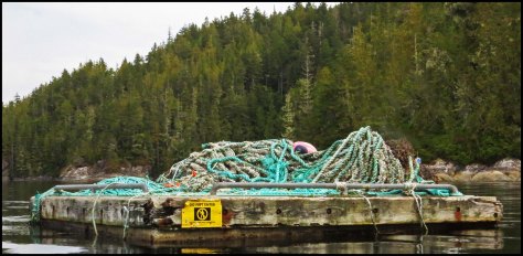 BootlegSignSept2018-IMG_4664_edited-1