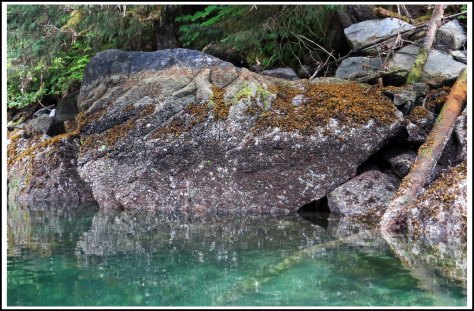 BottleneckTalkingRockJul2018-IMG_6398_edited-2