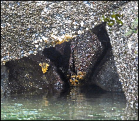 BottleneckTalkingRockJul2018-IMG_6402_edited-1