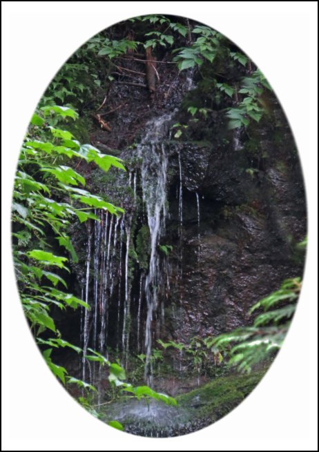 BottleneckWaterfallJul2018-2