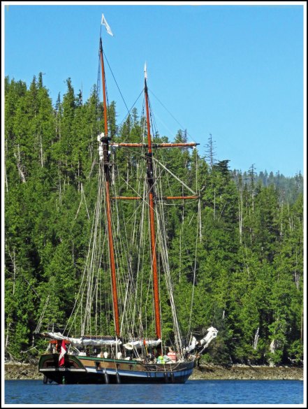 CodvilleSquareRiggerAug2018-IMG_1522 (1)_edited-1