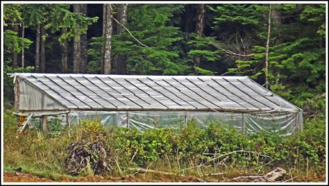 ForwardGreenhouseSept2018-IMG_5239_edited-1