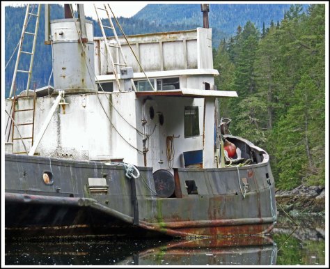 ForwardShipwreckSept2018-IMG_5337_edited-1