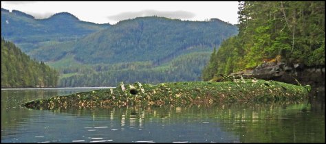 ForwardShipwreckSept2018-IMG_5413_edited-1