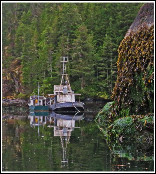 ForwardShipwrecksSept2018-IMG_5300_edited-1