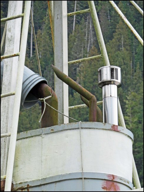 ForwardShipwrecksSept2018-IMG_5362 (1)_edited-1