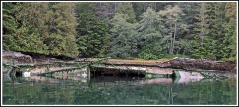 ForwardShipwrecksSept2018-IMG_5369_edited-2