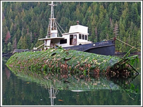 ForwardShipwrecksSept2018-IMG_5395 (1)_edited-1