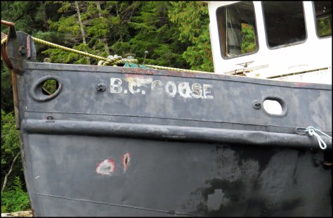 ForwardShipwrecksSept2018-IMG_5437_edited-1