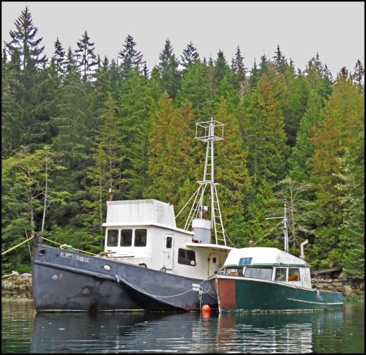 ForwardShipwrecksSept2018-IMG_5443_edited-1