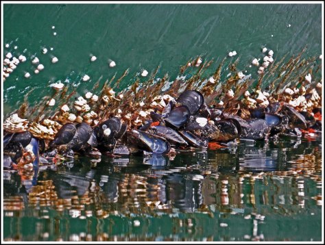 ForwardShipwrecksSept2018-IMG_5455_edited-1