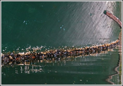 ForwardShipwrecksSept2018-IMG_5459_edited-1