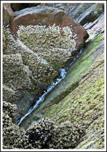 GreenIslandWaterfallAug2p018-IMG_3642_edited-1