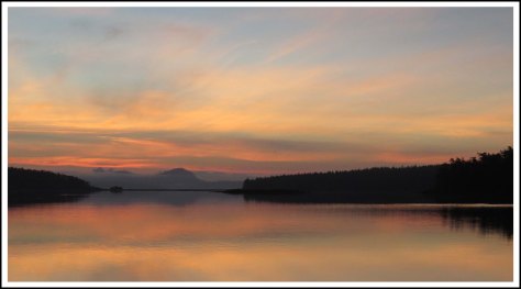 HunterSept2018-IMG_5932_edited-1