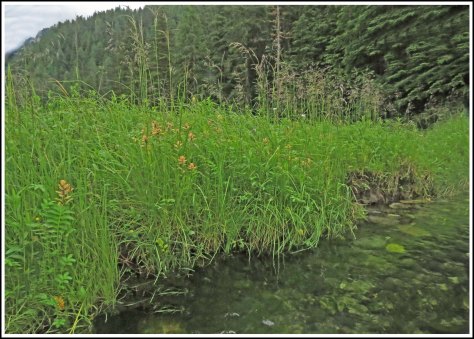 KhutzeCreekJul2018-IMG_7420_edited-1