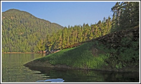 WallaceBightSceneryJul2018-IMG_9900_edited-2